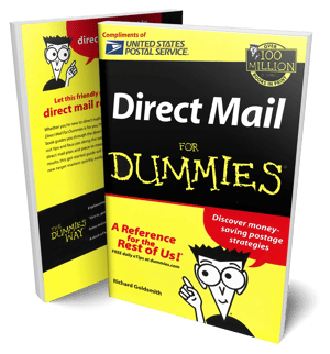 direct mail for dummies book mockup